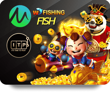 Khám phá MaxClub Bóng Đá Pro: Nơi hội tụ tài năng bóng đá trẻ